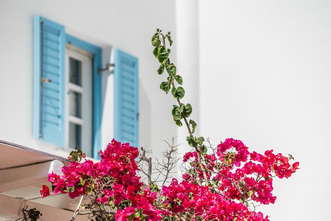 Capo Di Mykonos Resort Agios Ioannis Diakoftis Екстер'єр фото